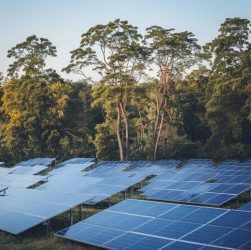 "Énergie solaire et biodiversité : comment allier production d’énergie et préservation des écosystèmes?"