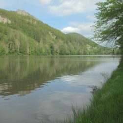 Restauration des zones humides : une solution naturelle contre les inondations et le changement climatique